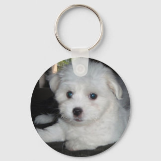 Coton De Tulear Nyckelring