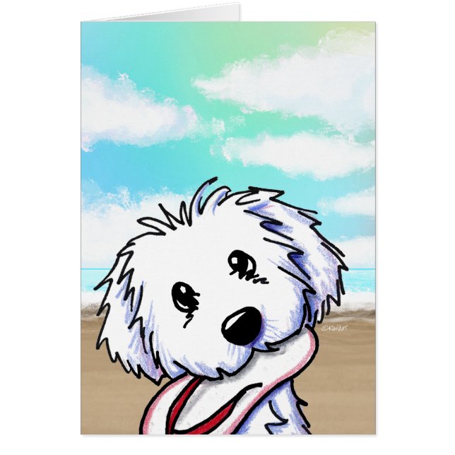 Coton de Tulear OBS Kort (Framsidan)