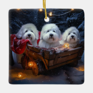 Coton De Tulear Snowy Sleigh-juldekretet Julgransprydnad Keramik
