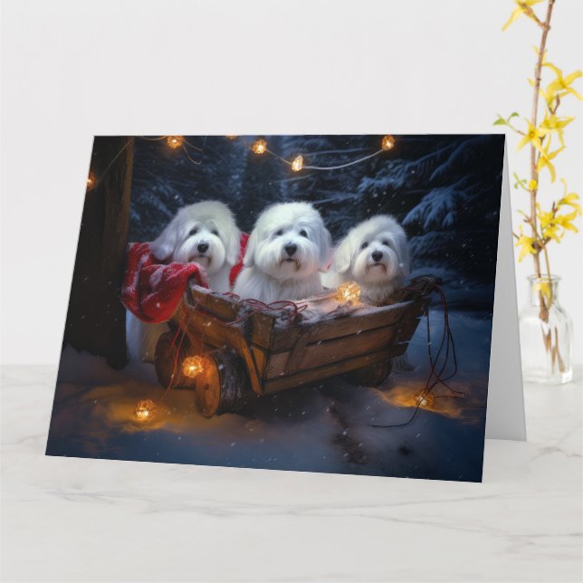 Coton De Tulear Snowy Sleigh-juldekretet Kort (Gul blomma)