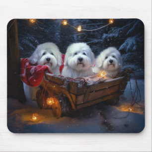 Coton De Tulear Snowy Sleigh-juldekretet Musmatta