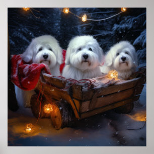 Coton De Tulear Snowy Sleigh-juldekretet Poster
