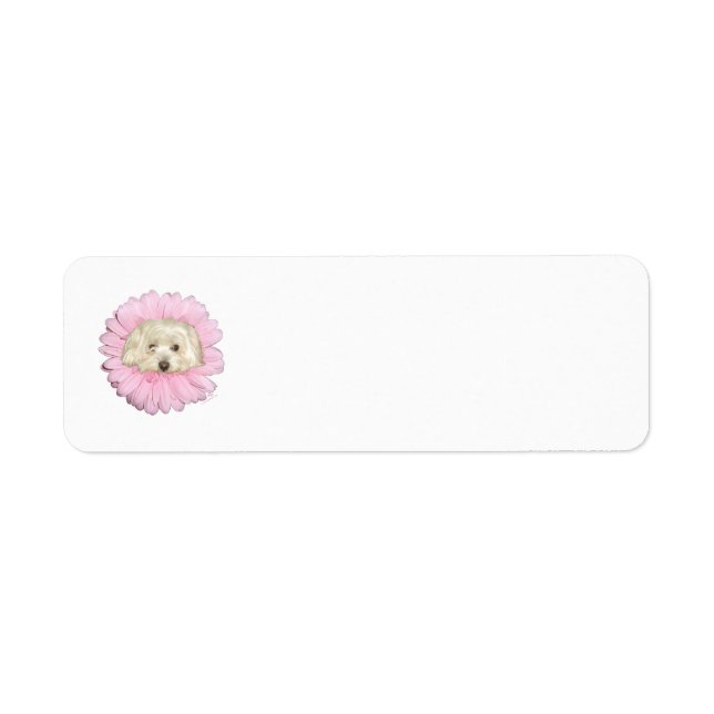 Coton de Tulear Springtime Flower Returadress Etikett (Framsidan)