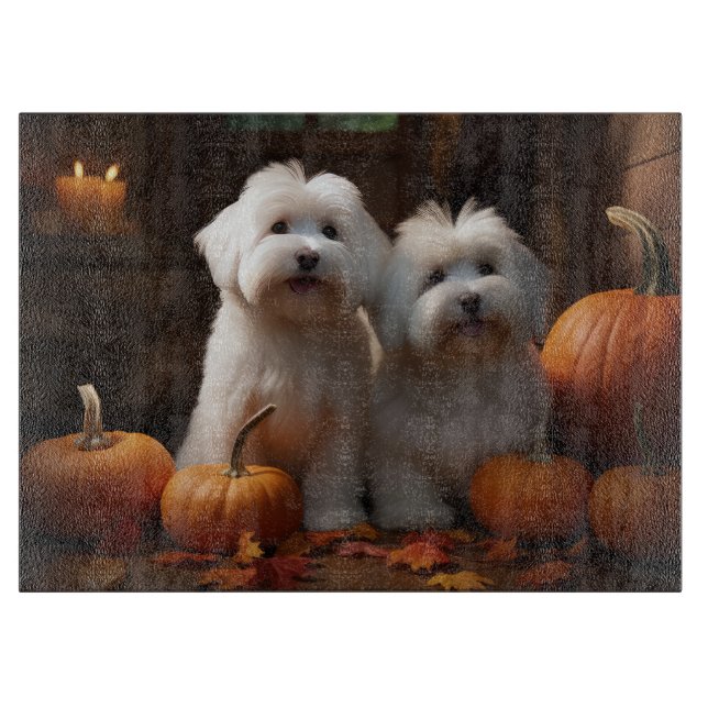 Coton De Tulear Valp Höstglädje Pumpa  (Framsidan)