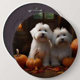 Coton De Tulear Valp Höstglädje Pumpa Knapp
