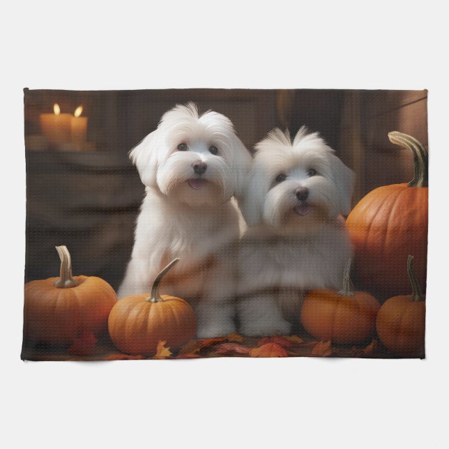 Coton De Tulear Valp Höstglädje Pumpa  Kökshandduk (Horisontell)