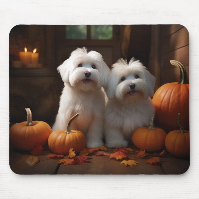 Coton De Tulear Valp Höstglädje Pumpa  Musmatta (Framsidan)