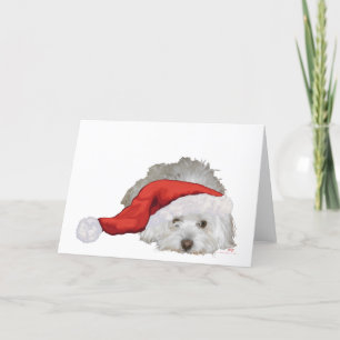 Coton de Tulear - Väntar Helgkort