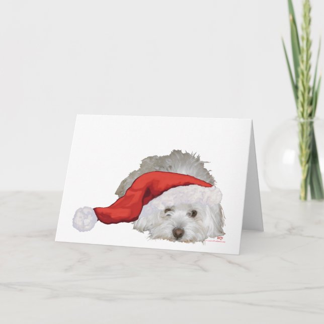 Coton de Tulear - Väntar Helgkort (Framsida)