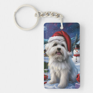 Coton De Tulear Vintervonderland Julglädje
