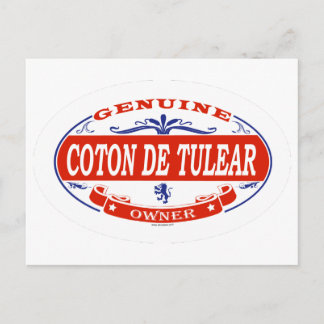 Coton De Tulear  Vykort