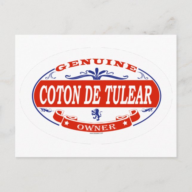 Coton De Tulear  Vykort (Framsida)