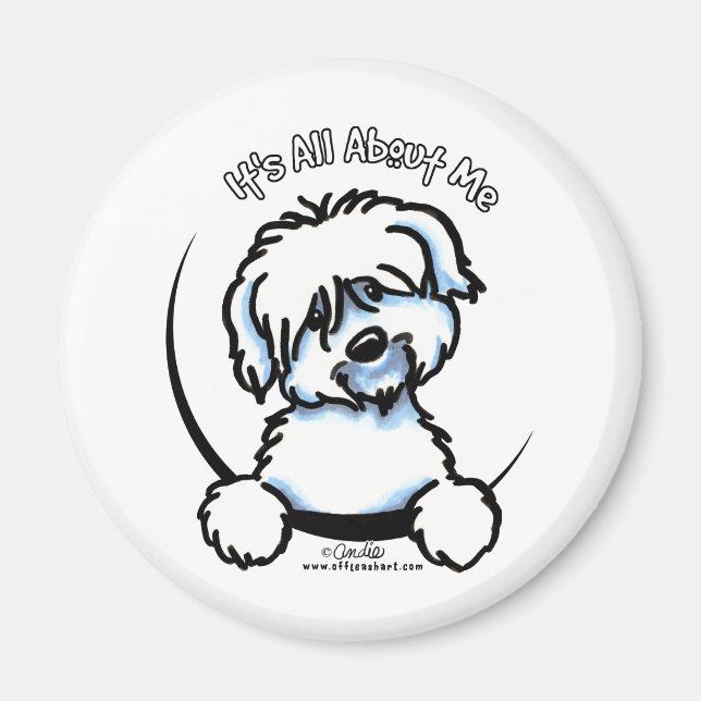 Coton de Tulear's All Om mig Magnet (Framsidan)