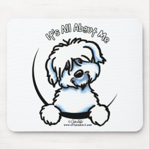 Coton de Tulear's All Om mig Musmatta