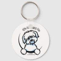 Coton de Tulear's All Om mig