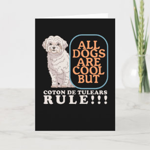 Coton de Tulears Rule Coton de Tulear Kort