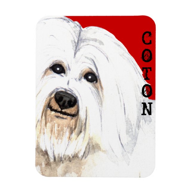 Coton Färg Block Magnet (Vertikal)