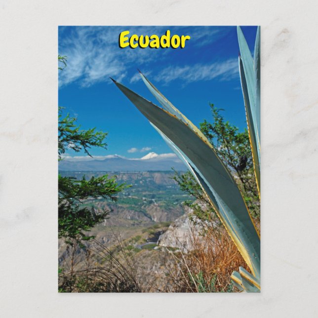 Cotopaxi vulcano, Ecuador Vykort (Framsida)