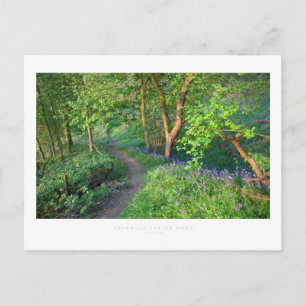 Cotswold Vår Wood Vykort
