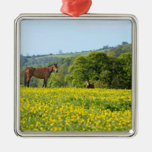 Cotswolds UK Julgransprydnad Metall