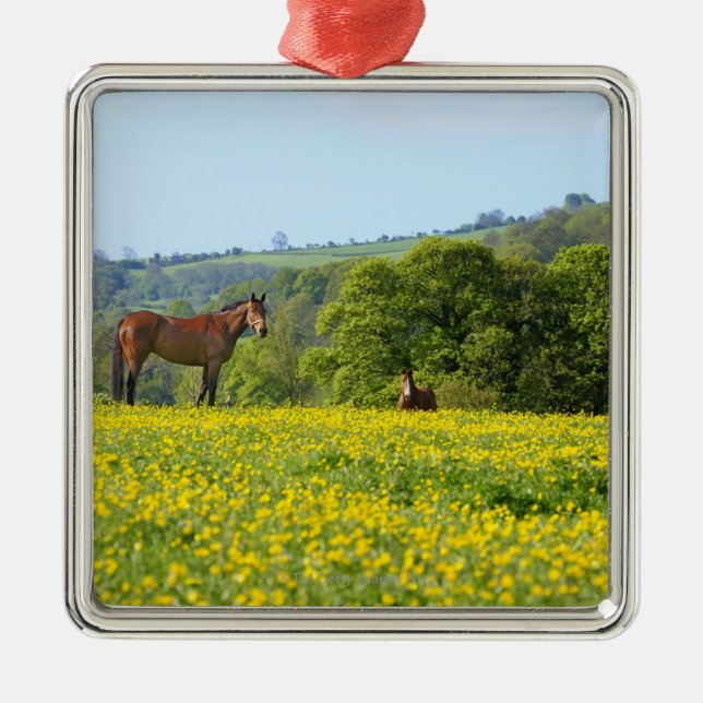 Cotswolds UK Julgransprydnad Metall (Framsidan)