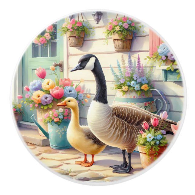 Cottage Garden Geese Spring Illustration Knopp (Framsidan)