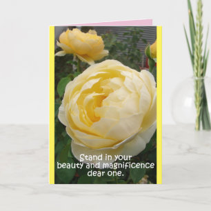 Cottage Garden Gul ros Beauty blommigt Card Kort