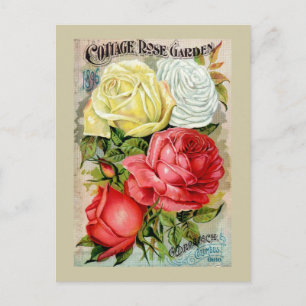 Cottage Ro Garden Advertisement Vykort