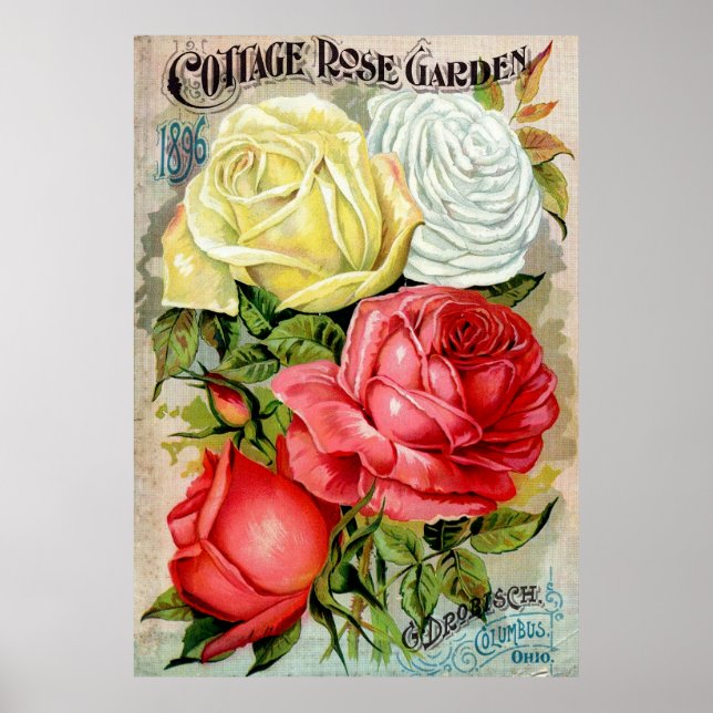 Cottage Ro Garden Advertisperma Poster (Framsidan)
