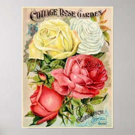 Cottage Ro Garden Drobisch Advertisement Poster