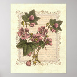 Cottage Shabby Elegance Vintage Blommigt Decor Poster
