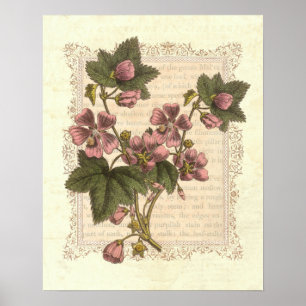 Cottage Shabby Elegance Vintage Blommigt Decor Poster