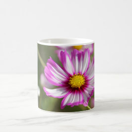 Cottage-trädgård, Rosalinde Kaffemugg