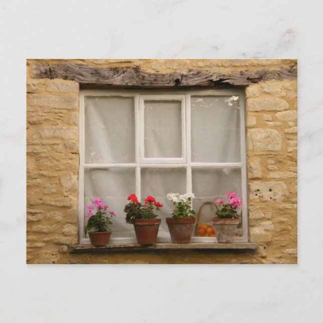 "Cottage Window" Vykort (Framsida)