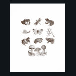 Cottagecore Aesthetic Mushroom Academia Frog Gobli Poster<br><div class="desc">Cottagecore Aesthetic Mushroom Academia Frog Goblincore: A scholarly frog and mushroom design with cottagecore and academia tones. Perfect for cozy thinkers. Calm,  whimsical,  and lovely.</div>