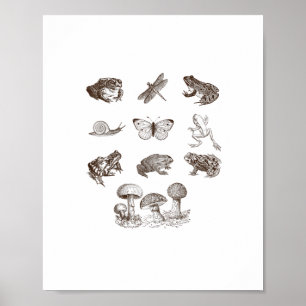 Cottagecore Estetisk Svamp Akademia Groda Gobli Poster