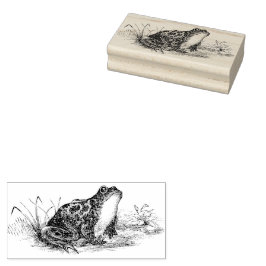 Cottagecore Vintage Frog Rubber Frimärke Stämpel
