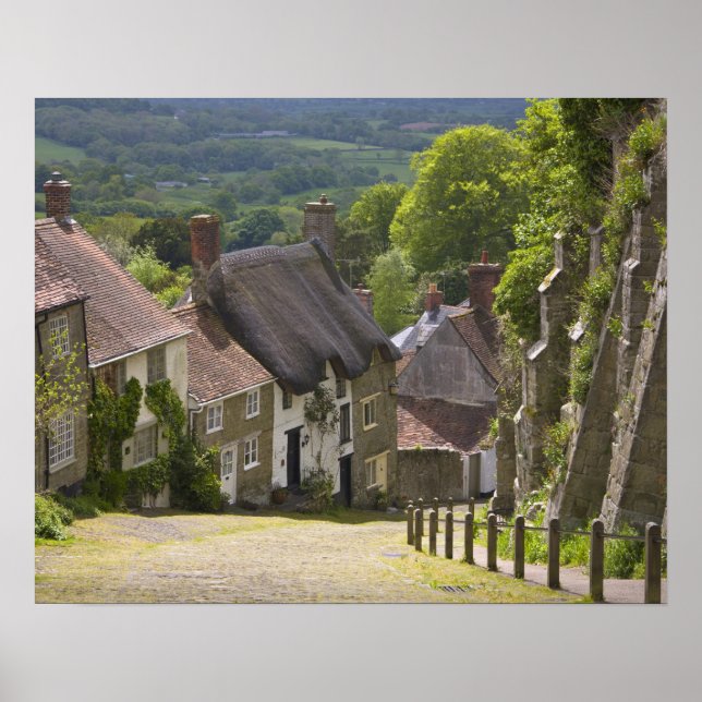 Cottages at Guld Backe, Shaftesbury, Dorset Poster (Framsidan)