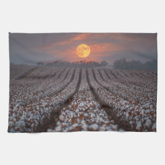 Cotton Field Harvest Moon - Farmhouse Decor Kökshandduk