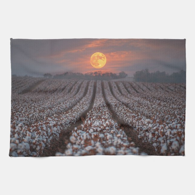 Cotton Field Harvest Moon - Farmhouse Decor Kökshandduk (Horisontell)