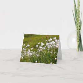 Cotton Grass Meadow - 4" x 5.6" Notecard Helgkort