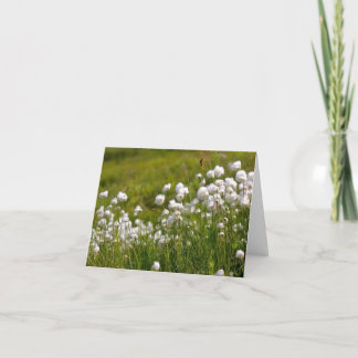 Cotton Grass Meadow - 4" x 5.6" Notecard Helgkort