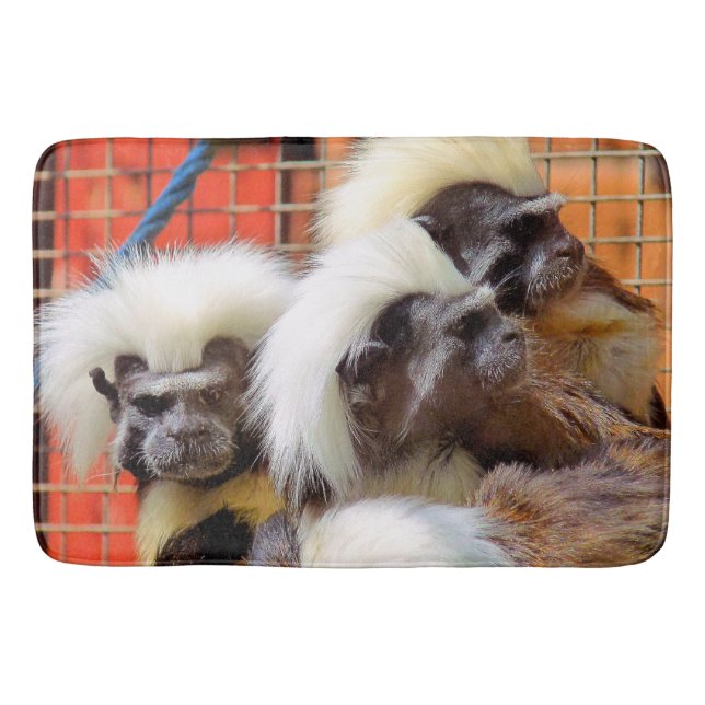 COTTON-TOP TAMARIN MONKEYS BADRUMSMATTA (Framsidan)
