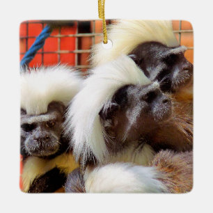 COTTON-TOP TAMARIN MONKEYS JULGRANSPRYDNAD KERAMIK