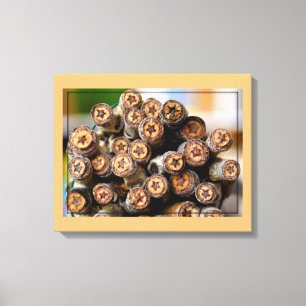 COTTON WOOD STARS TILLSAMMANS MED RIO GRANDE CANVA CANVASTRYCK
