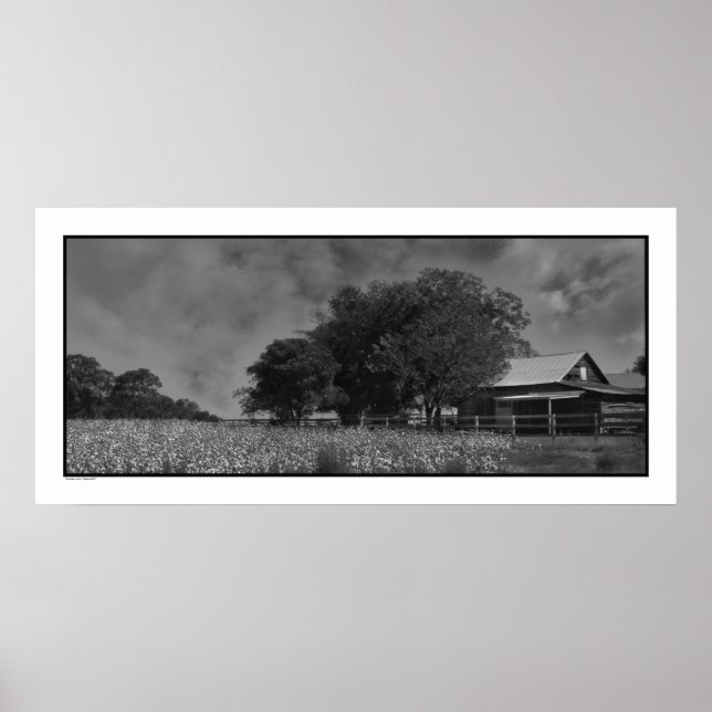 Cottonfield & Barn Poster Skriv ut (Framsidan)