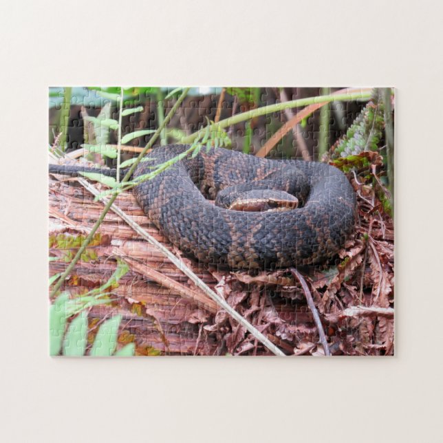 Cottonmouth Snake Puzzle Pussel (Horisontell)