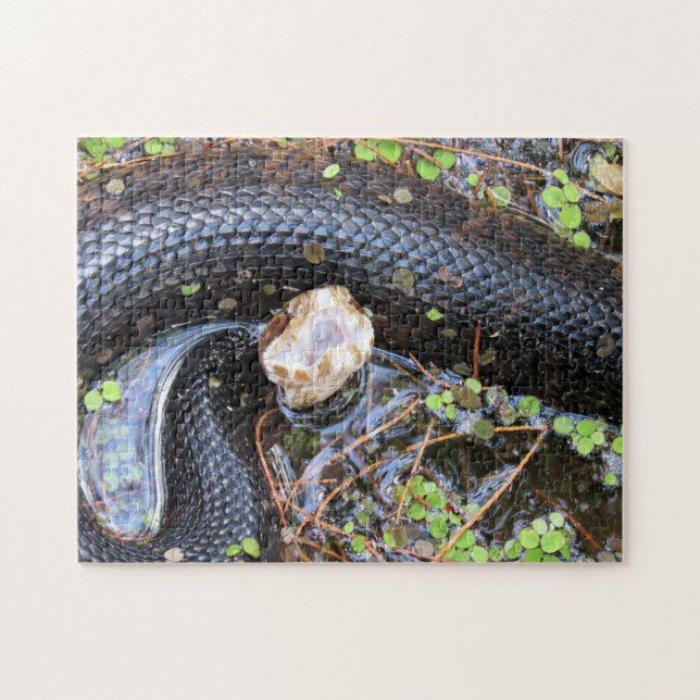 Cottonmouth Snake Puzzle Pussel (Horisontell)