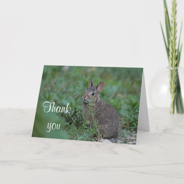Cottontail bunny tack kort (Framsida)