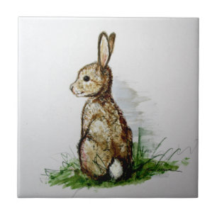 Cottontail. . . kakelplatta